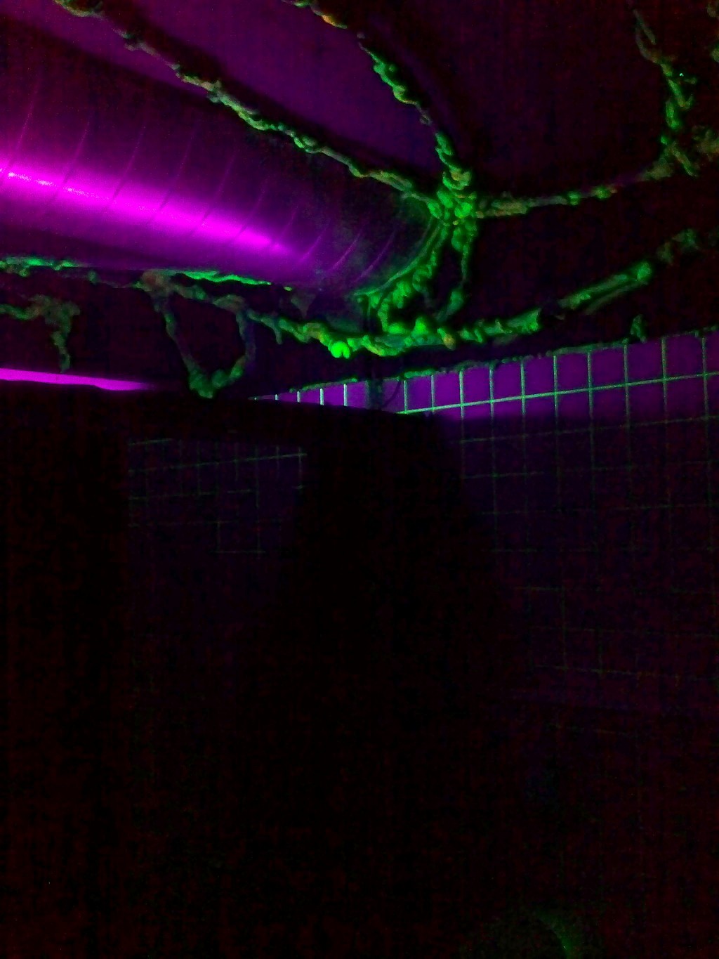 alien a wcben.