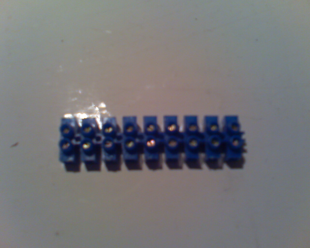 moto_0195.jpg