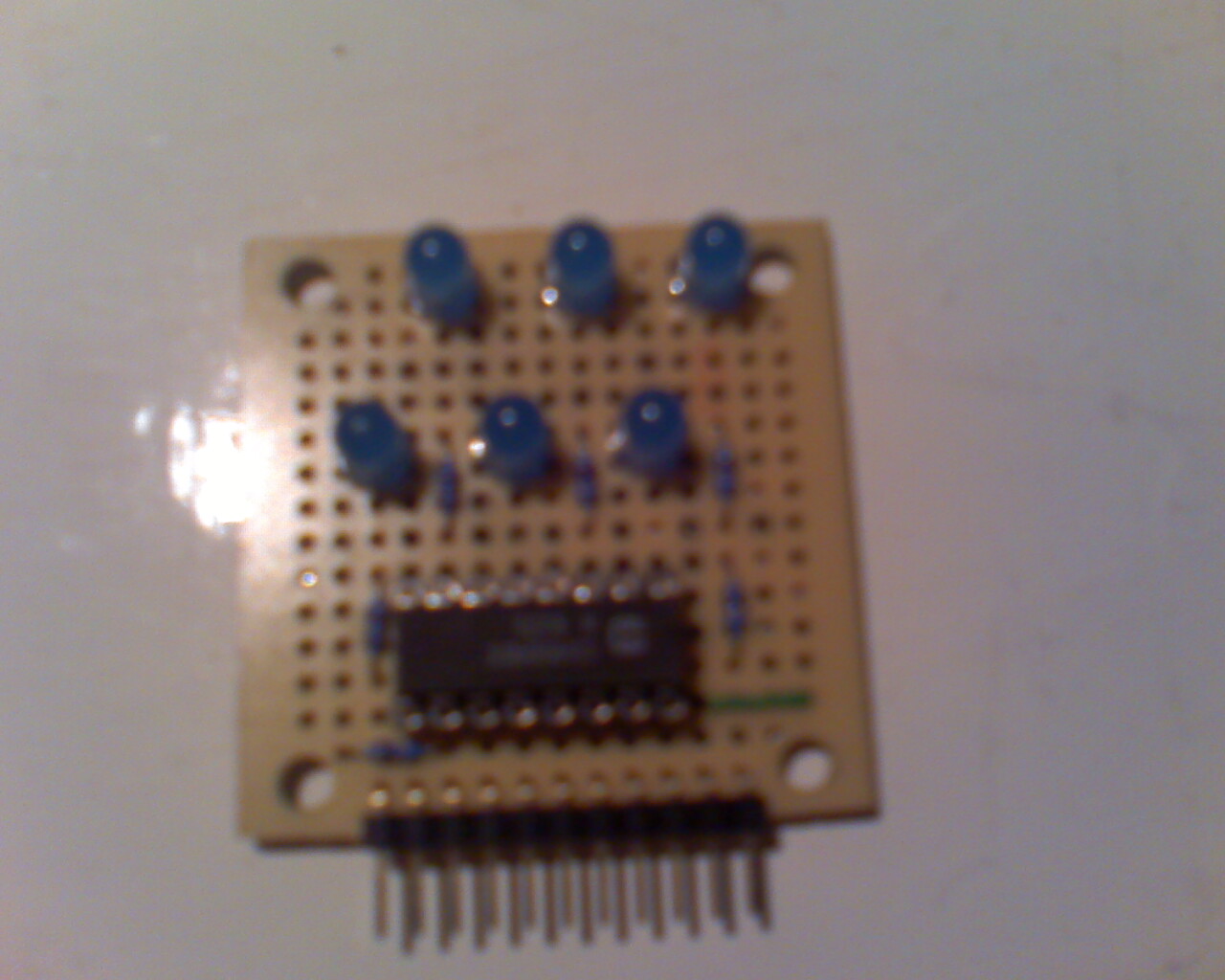 moto_0214.jpg