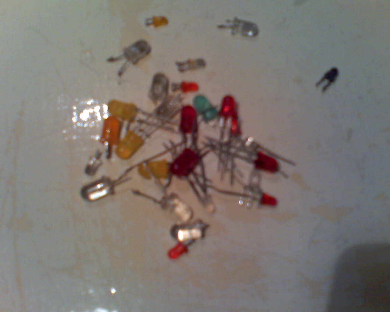 moto_0274.jpg